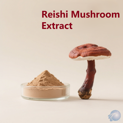 Reishi Mushroom Extract