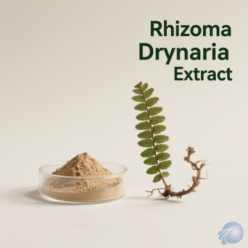 Rhizoma Drynaria Extract