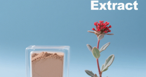 Rhodiola Rosea Extract