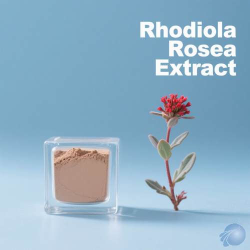Rhodiola Rosea Extract