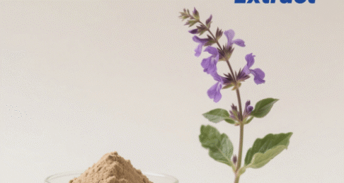 Salvia Root Extract