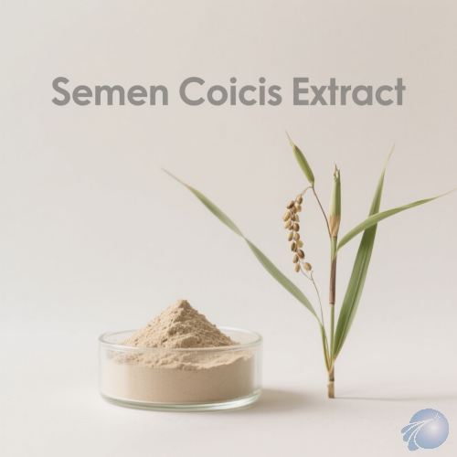 Semen Coicis Extract