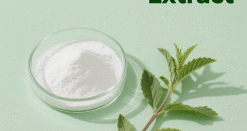 Stevia Extract