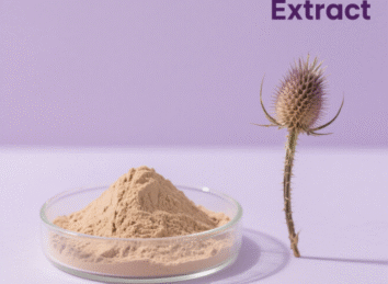 Teasel Root Extract