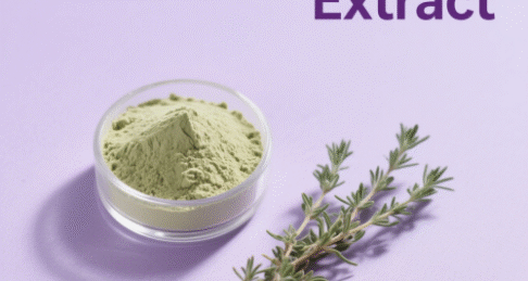 Thyme Extract