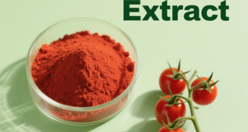 Tomato Extract