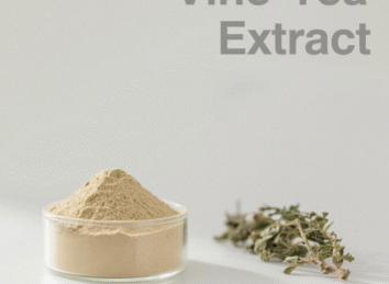 Vine Tea Extract