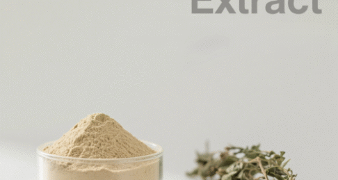 Vine Tea Extract