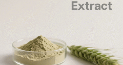 Wheat Grass Extract