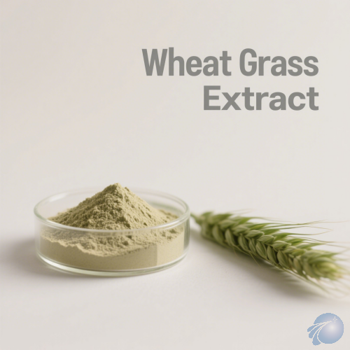 Wheat Grass Extract