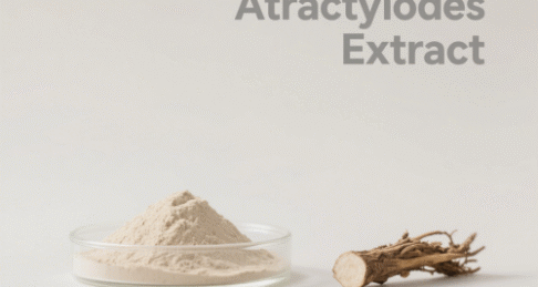 White Atractylodes Extract