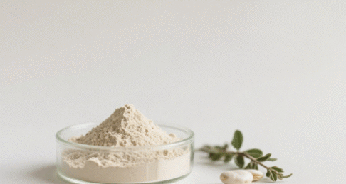 White Kidney Bean Extract