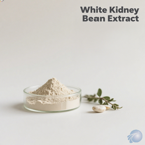 White Kidney Bean Extract