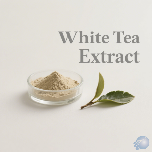 White Tea Extract