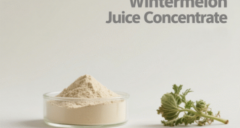Wintermelon Juice Concentrate