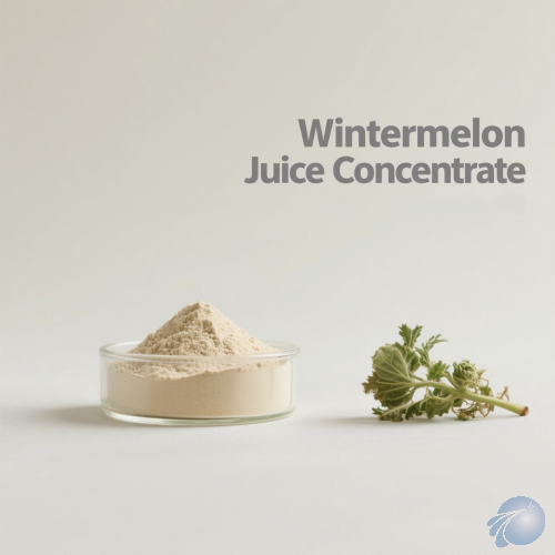 Wintermelon Juice Concentrate